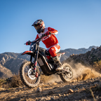 APEXWILL AM20 4000W Mid-Drive Electric Dirt Bike