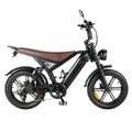 APEXWILL Electric Fat Bike GT20 Ebike