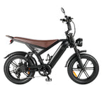 APEXWILL Electric Fat Bike GT20 Ebike