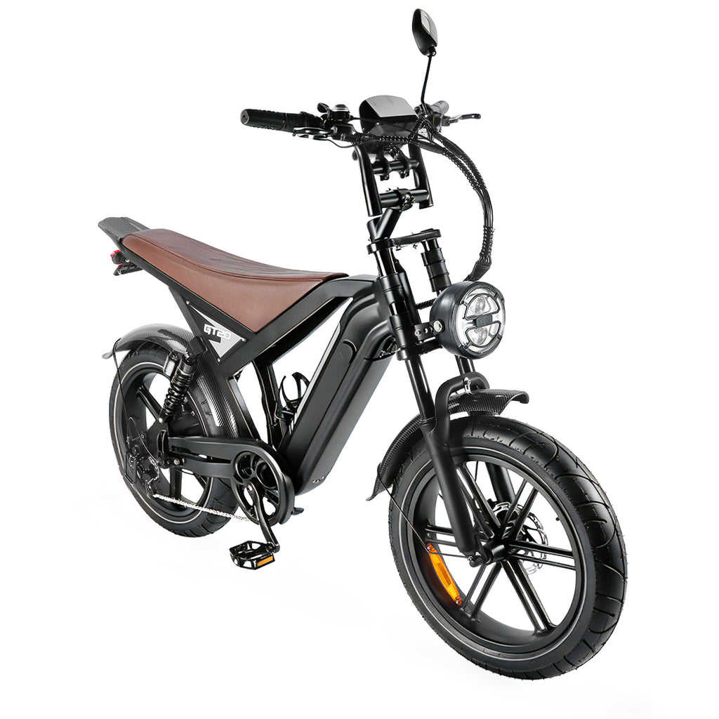 APEXWILL Electric Fat Bike GT20 Ebike