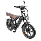 APEXWILL Electric Fat Bike GT20 Ebike