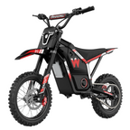 APEXWILL AM20 4000W Mid-Drive Electric Dirt Bike