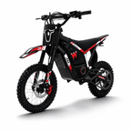 APEXWILL AM20 4000W Mid-Drive Electric Dirt Bike