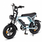 APEXWILL Nomad C80 Mini Ebike