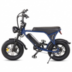 APEXWILL Nomad C80 Mini Ebike